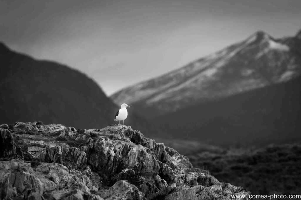 Ushuaia viaje al sur fin del mundo